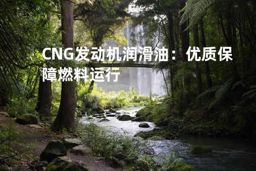 CNG发动机润滑油：优质保障燃料运行